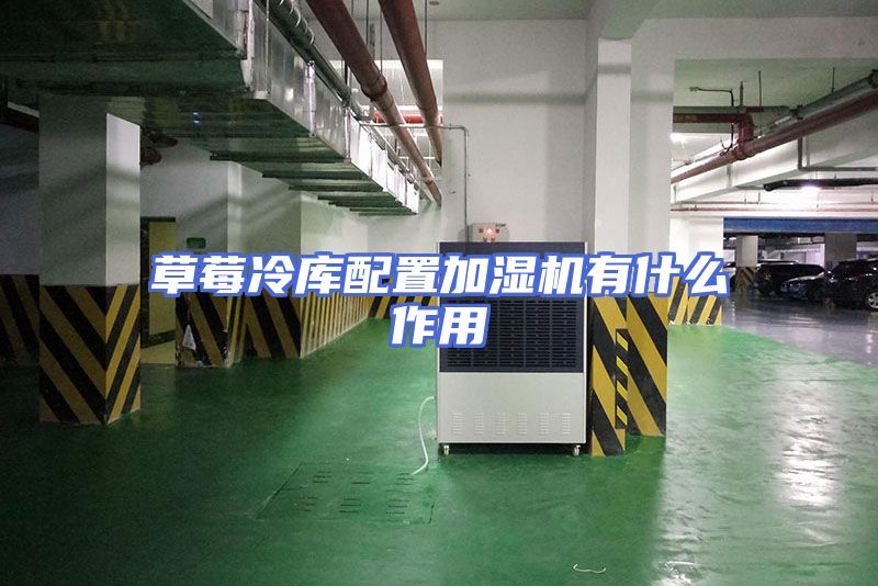 草莓冷库配置加湿机有什么作用