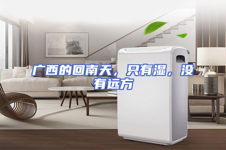 广西的回南天，只有湿，没有远方
