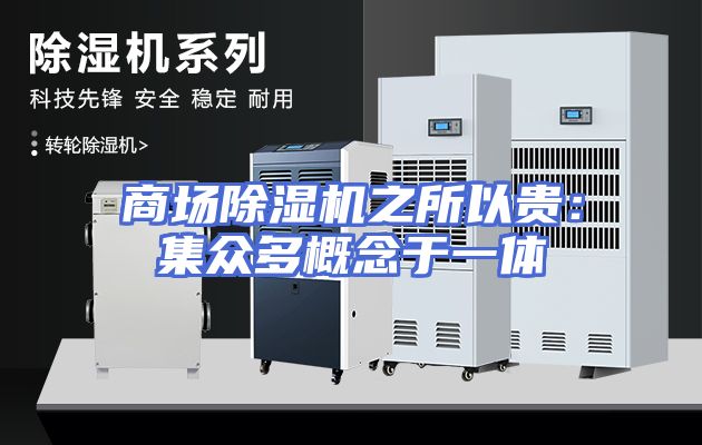 商场除湿机之所以贵：集众多概念于一体