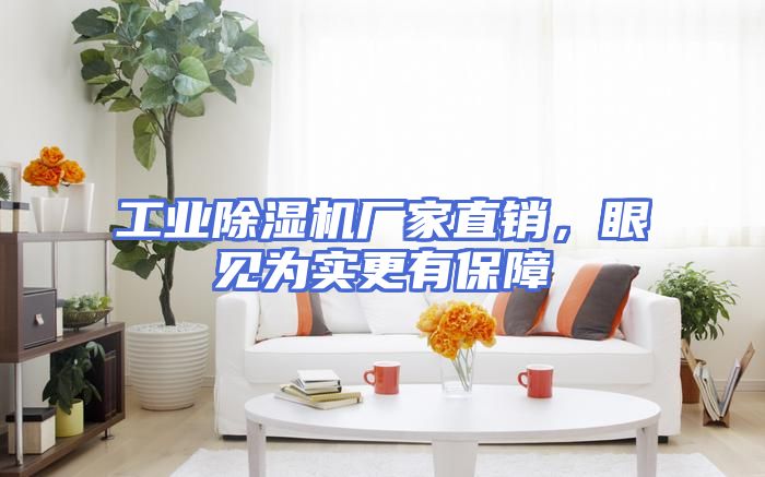 工业除湿机厂家直销，眼见为实更有保障