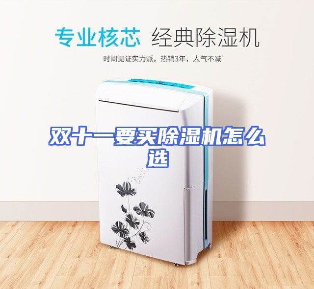 双十一要买除湿机怎么选
