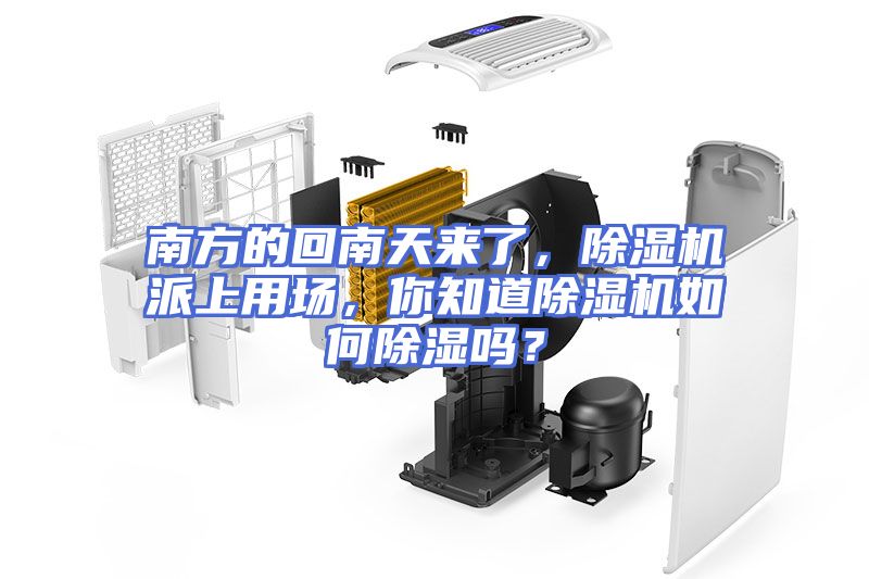 南方的回南天来了，除湿机派上用场，你知道除湿机如何除湿吗？