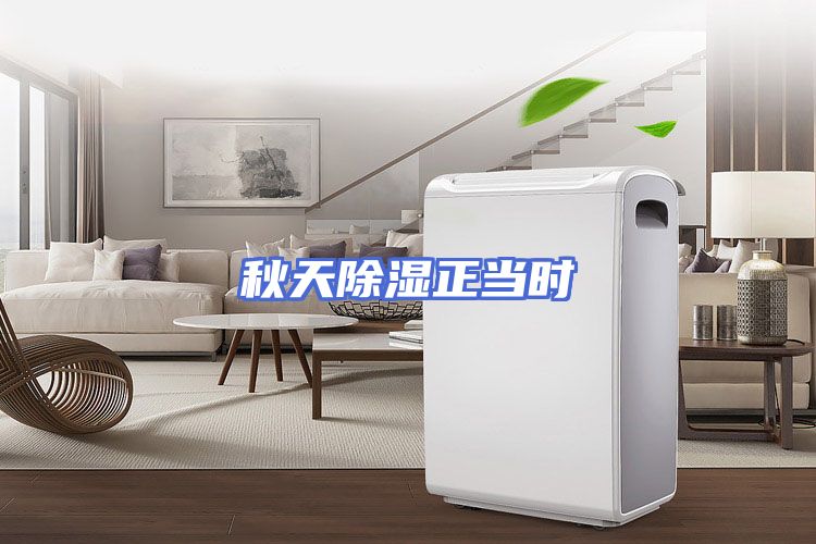 秋天除湿正当时