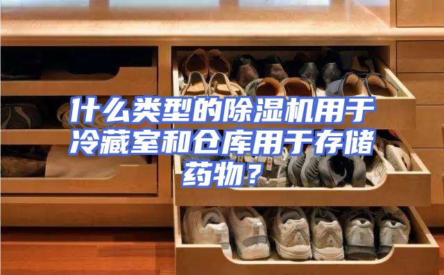什么类型的除湿机用于冷藏室和仓库用于存储药物？