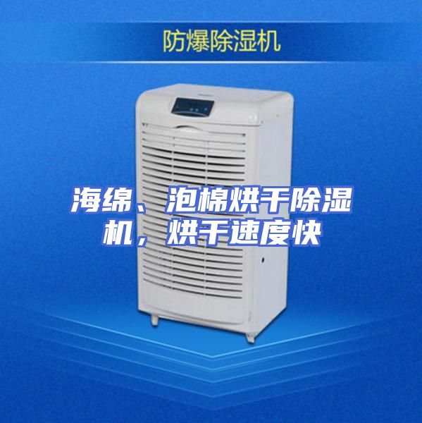 海绵、泡棉烘干除湿机，烘干速度快