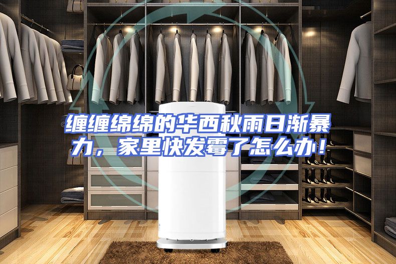 缠缠绵绵的华西秋雨日渐暴力，家里快发霉了怎么办！