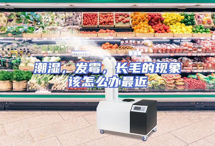 潮湿，发霉，长毛的现象该怎么办最近