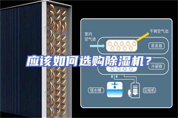 应该如何选购除湿机？