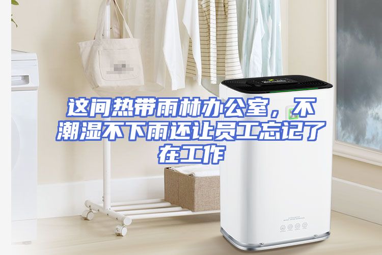 这间热带雨林办公室，不潮湿不下雨还让员工忘记了在工作