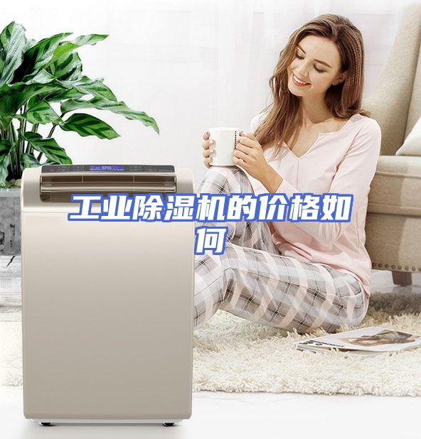 工业除湿机的价格如何