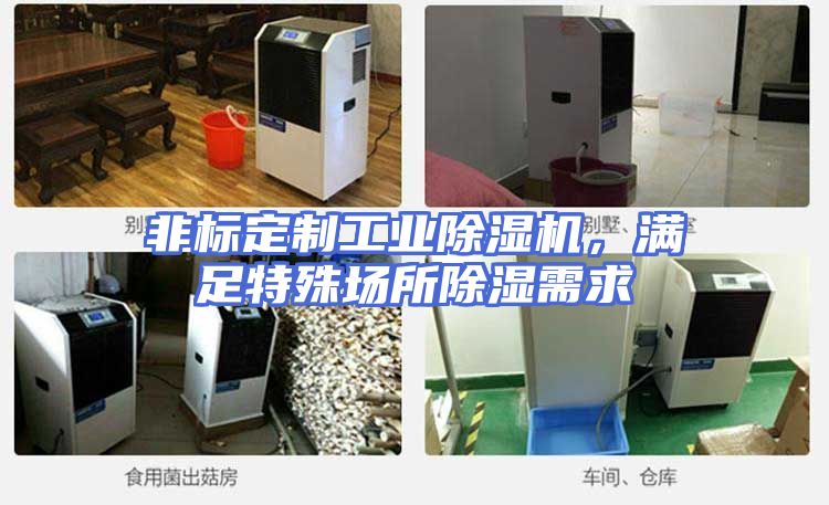 非标定制工业除湿机，满足特殊场所除湿需求