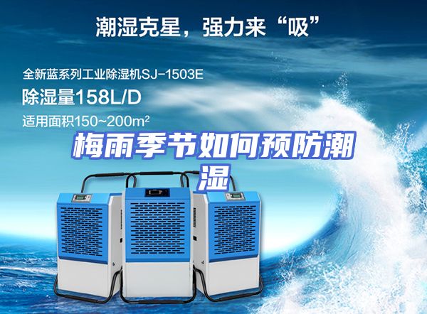 梅雨季节如何预防潮湿