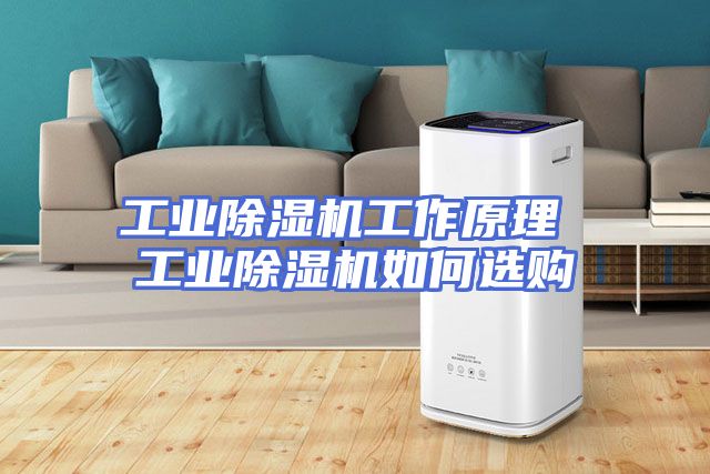 工业除湿机工作原理 工业除湿机如何选购