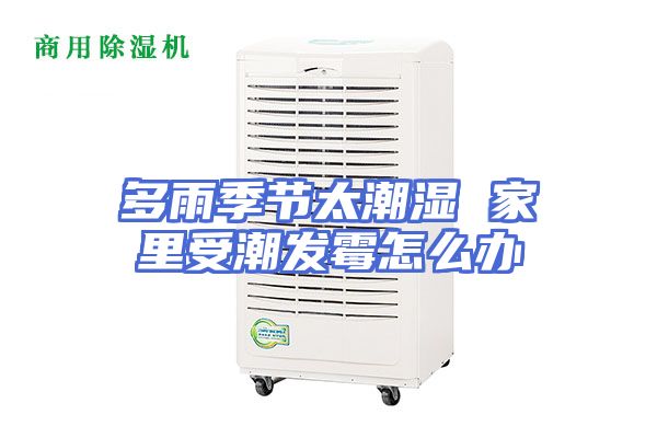 多雨季节太潮湿 家里受潮发霉怎么办
