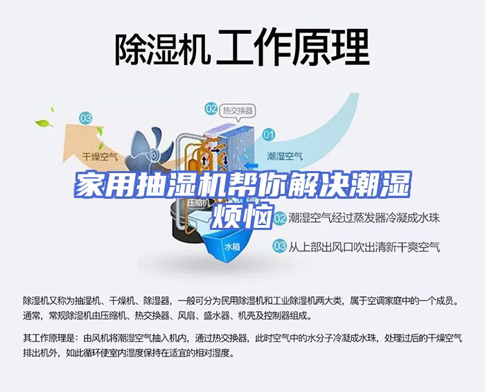 家用抽湿机帮你解决潮湿烦恼