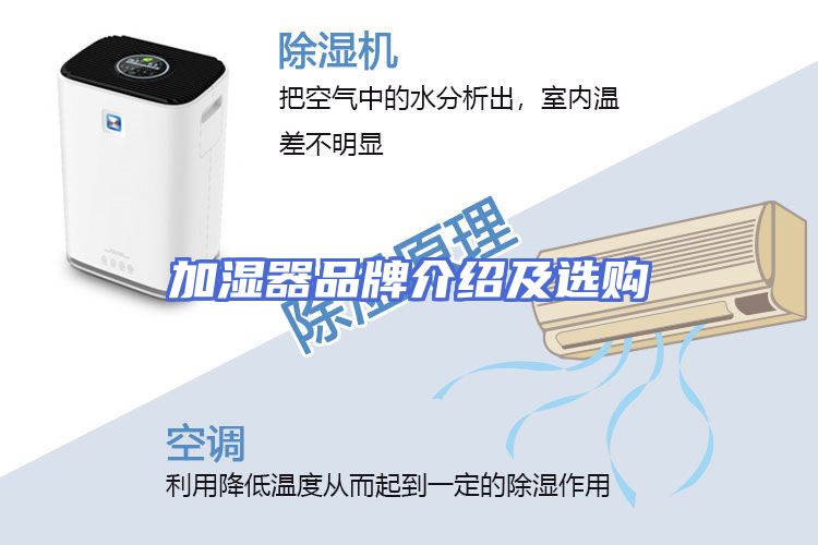 加湿器品牌介绍及选购