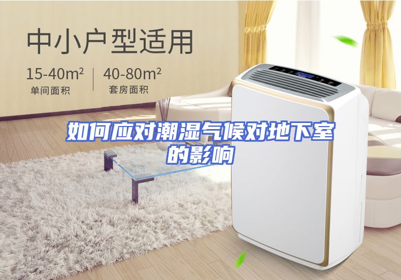 如何应对潮湿气候对地下室的影响