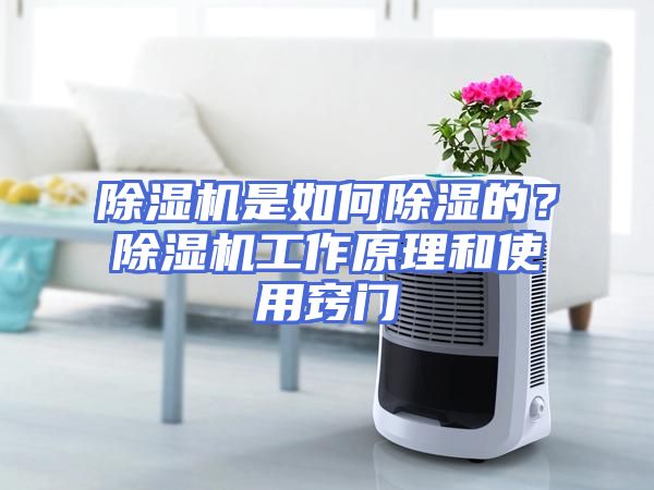 除湿机是如何除湿的？除湿机工作原理和使用窍门