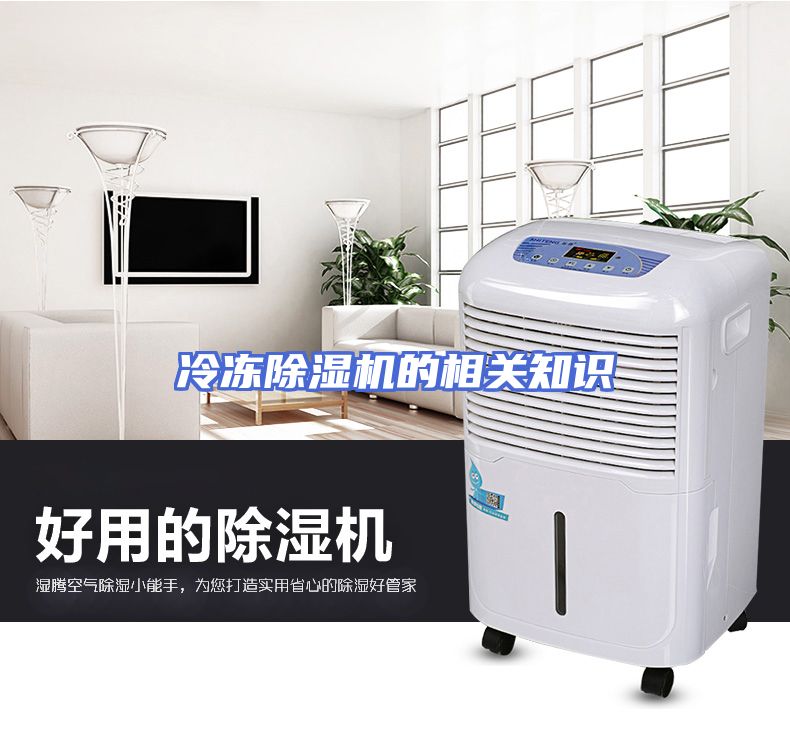 冷冻除湿机的相关知识