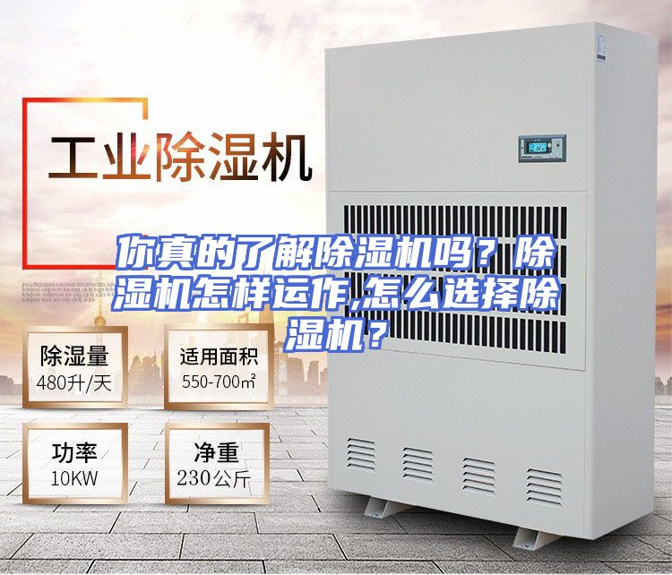 你真的了解除湿机吗？除湿机怎样运作,怎么选择除湿机？