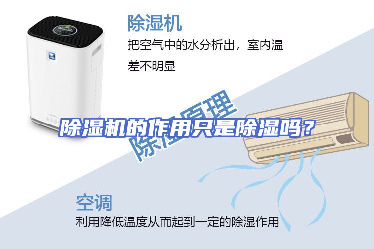 除湿机的作用只是除湿吗？