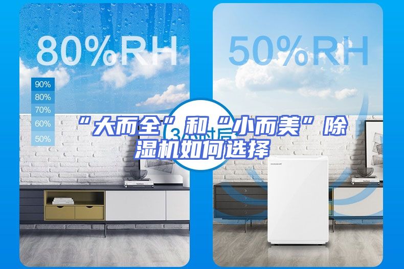 “大而全”和“小而美”除湿机如何选择