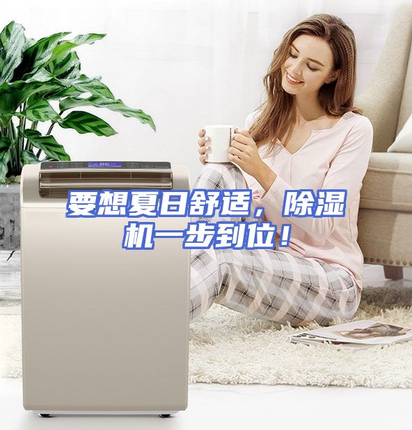 要想夏日舒适，除湿机一步到位！
