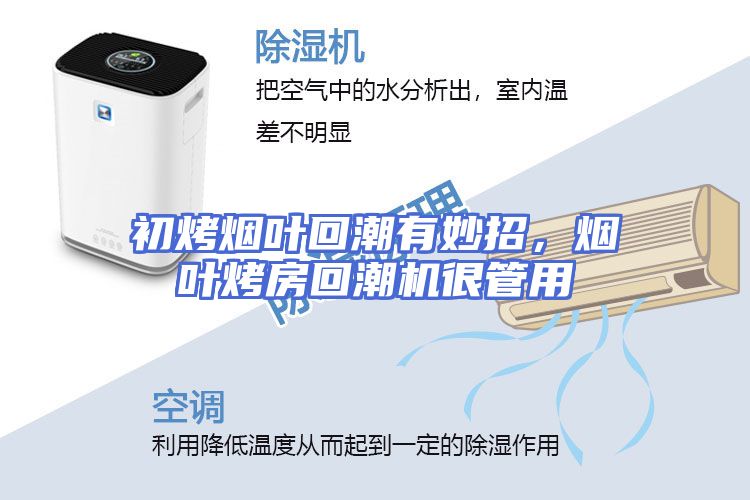 初烤烟叶回潮有妙招，烟叶烤房回潮机很管用