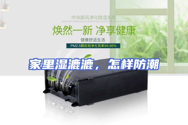 家里湿漉漉，怎样防潮