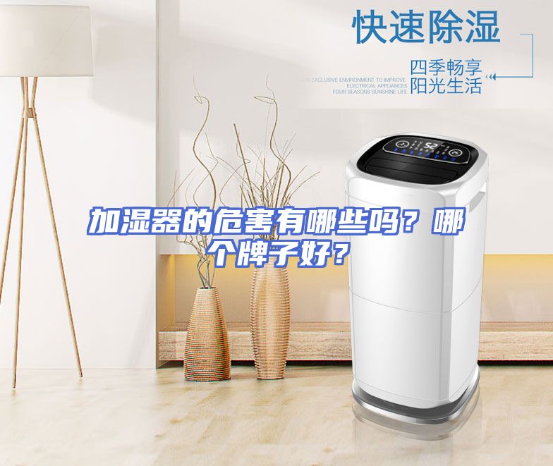 加湿器的危害有哪些吗？哪个牌子好？