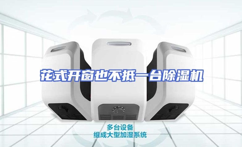 花式开窗也不抵一台除湿机