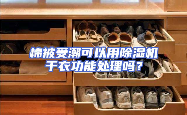 棉被受潮可以用除湿机干衣功能处理吗？