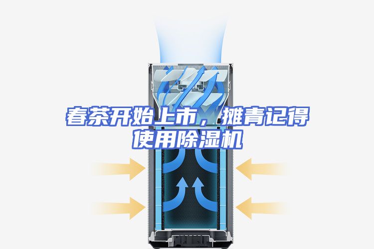 春茶开始上市，摊青记得使用除湿机