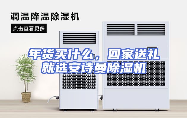 年货买什么，回家送礼就选安诗曼除湿机