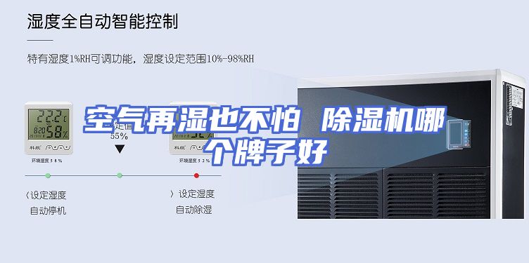 空气再湿也不怕 除湿机哪个牌子好