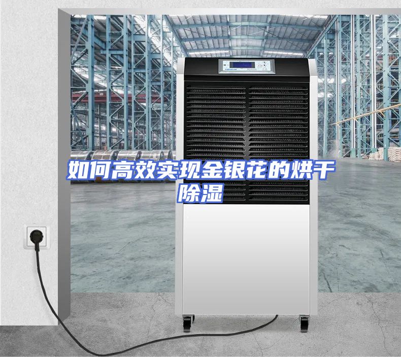 如何高效实现金银花的烘干除湿