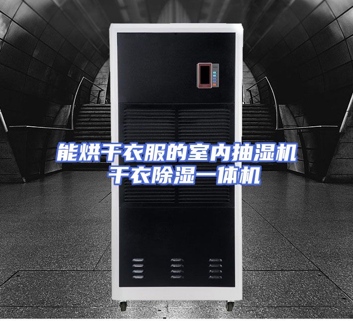 能烘干衣服的室内抽湿机 干衣除湿一体机