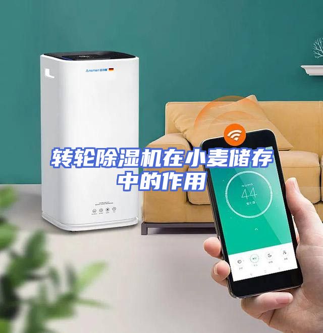 转轮除湿机在小麦储存中的作用