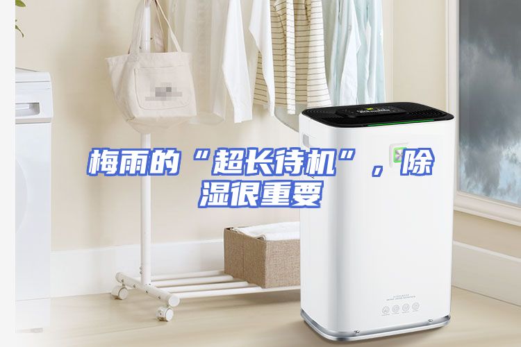梅雨的“超长待机”，除湿很重要