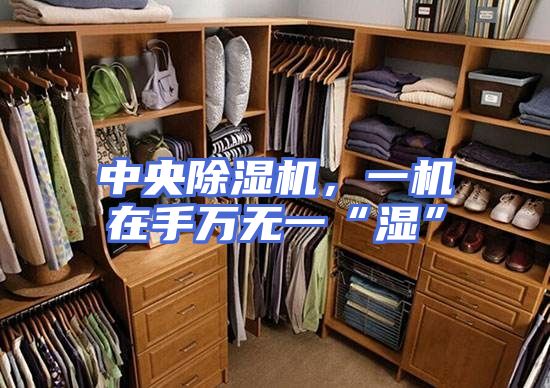 中央除湿机，一机在手万无一“湿”