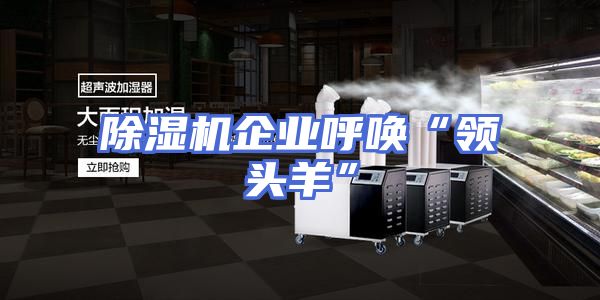 除湿机企业呼唤“领头羊”