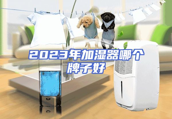 2023年加湿器哪个牌子好