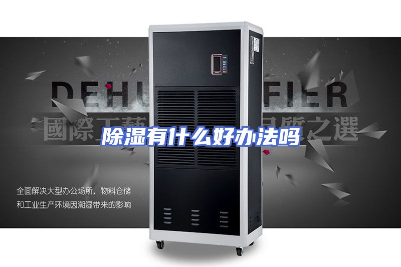 除湿有什么好办法吗