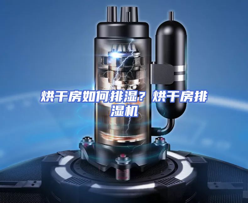 烘干房如何排湿？烘干房排湿机
