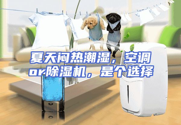 夏天闷热潮湿，空调or除湿机，是个选择