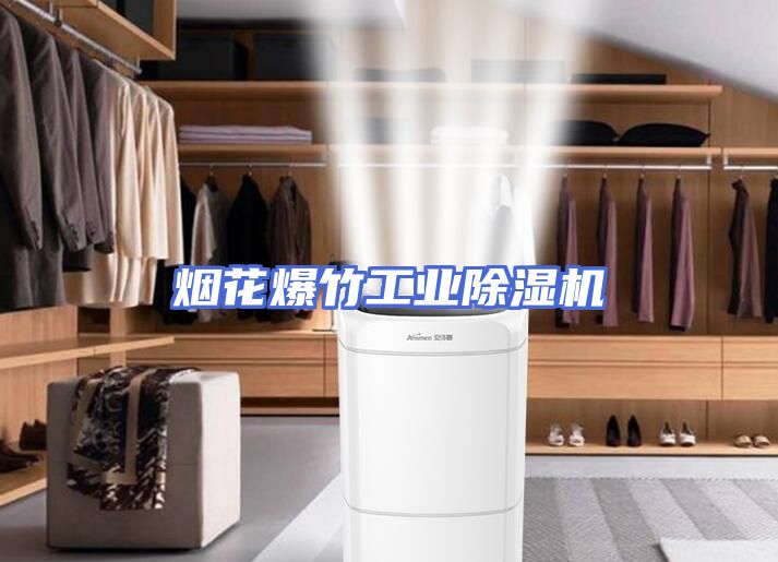 烟花爆竹工业除湿机