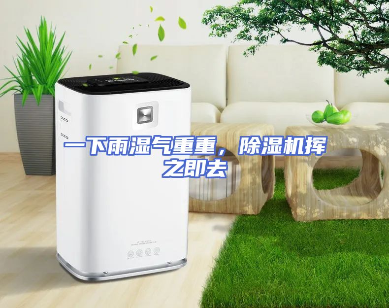 一下雨湿气重重，除湿机挥之即去