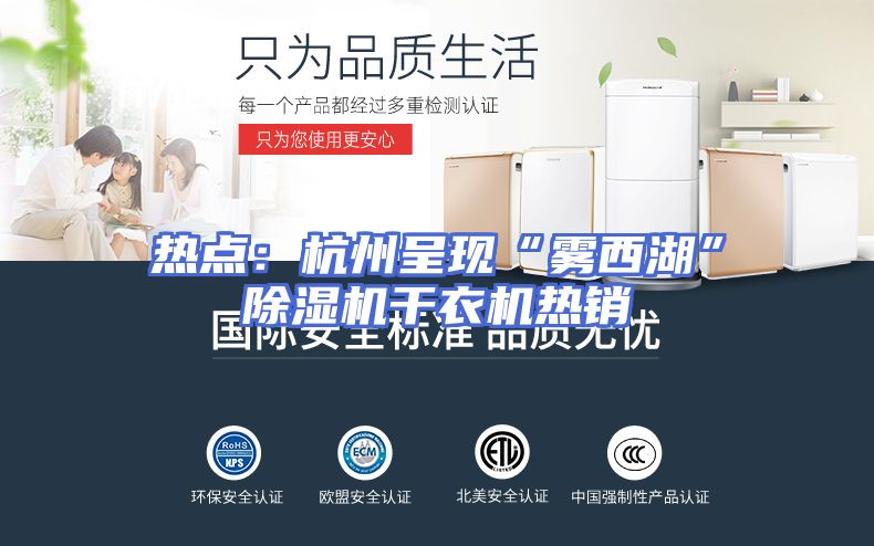 热点：杭州呈现“雾西湖”除湿机干衣机热销