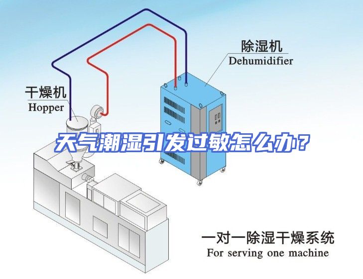 天气潮湿引发过敏怎么办？