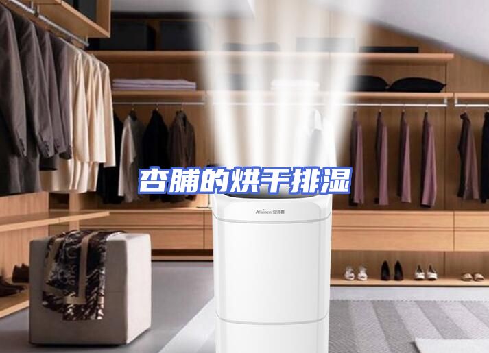 杏脯的烘干排湿